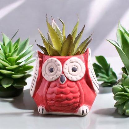 SOULCRAFTZ Owl Design Green Ceramic Pot for Home, Indoor Décor & Gifting (Size: Small plant not included)